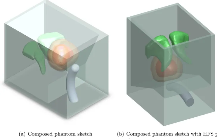 Figure 2.5: Complete Phantom