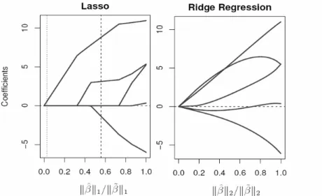 Figure 3.1: Solution paths for the lasso (left) and ridge regression (right).