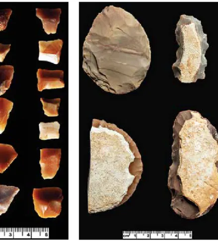 Figure 8. transverse arrowheads (photo by 