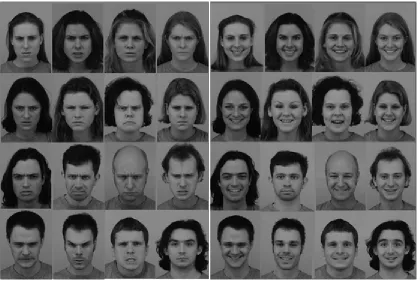 Fig 1: Examples of 4 x 4 grids of faces. Left hand side: grid of angry faces with one neutral target face