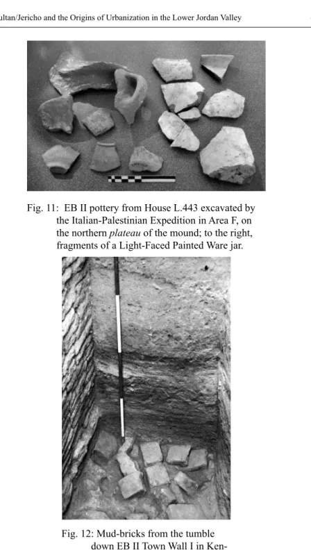 Fig. 12: Mud-bricks from the tumble  down EB II Town Wall I in  Ken-yon’s Site A.