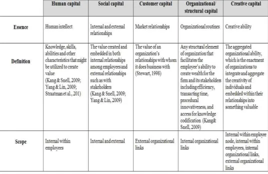 Table 1 Comparison of different capitals at the organizational level 