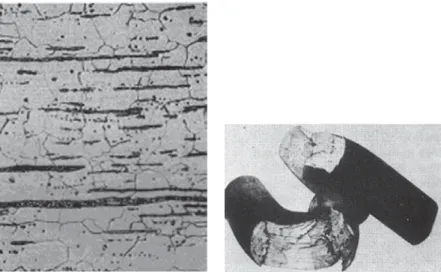 Figure 2.5. The microstructure of wrought iron (left) consists of elongated glassy sili- sili-cate inclusions from slag, strung out by cold working