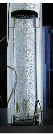 Figure 3.8: A schematic view of the setup used to perform self-assembly. Airbubbles (white circles) arepumped through the diﬀuser placed under the innertube and agitate the particles (red circles)