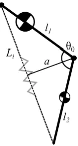 Fig. 2.Schematic model of the biped walker—The model features variablestiffness knee joints and its mass distribution is such that it approaches thatof the V-SLIP model, depicted in gray.