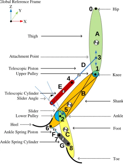 Fig. 4: Schematic overview of the transfemoral prosthesis, where bodies arerepresented by letters and joints by numbers.
