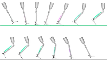 Fig. 7: Human Gait overview of the simulation. The colors resemble theloading and unloading of the telescopic spring