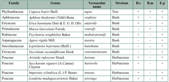 Table 2.3 lists 12 host plants on which immature stages of silk moths were observed. B