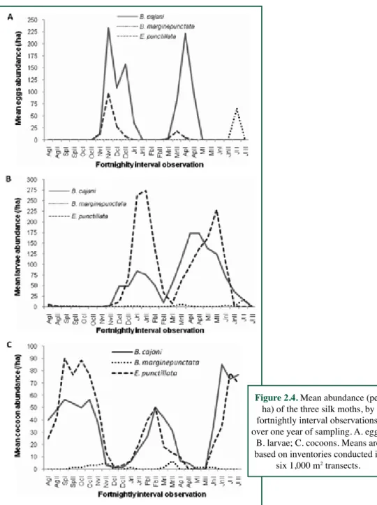 Figure 2.4. Mean abundance (per  ha) of the three silk moths, by  fortnightly interval observations,  over one year of sampling