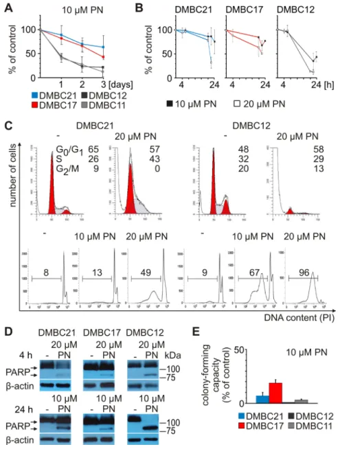 Figure 5: PN induces diverse cellular effects in different melanoma cell populations.  PN was used at the indicated  concentrations