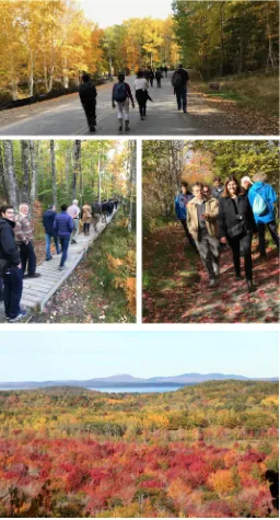 Fig. 1. The Walk in the Woods, October 15, 2016, members of the ISCI, with a view of Frenchman Bay.