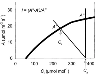 Fig. 3. Graphical method of estimating the limitation (l) placed on A by the stomata and leaf boundary layer