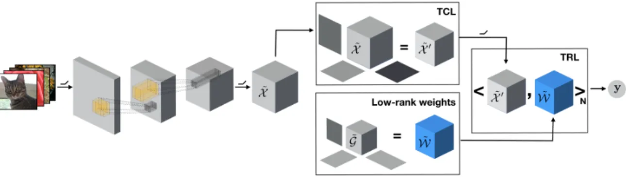 Figure 3: We propose to first reduce the dimensionality of the activation tensor by applying tensor contraction before performing tensor regression