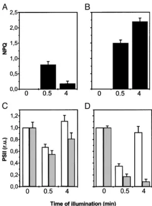 Table 1. Carotenoid deepoxidation after illumination of barley leaves