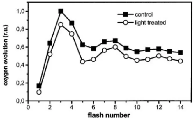 Fig. 3. Consequences of the reversible fluorescence quenching on oxygen evolution by barley leaves