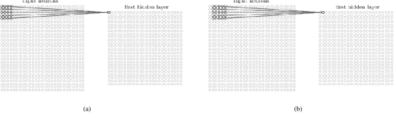 Figure 2.5: Convolutional Neural Network’s Local Receptive Field