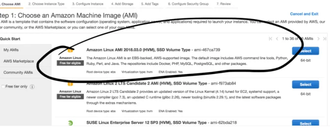 Figure 1 Choosing the AMI 