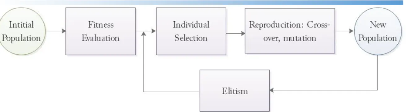 Fig. 3. Genetic Algorithms process flow   Each step of the genetic algorithm (Fig. 3) can be explained as follows: 