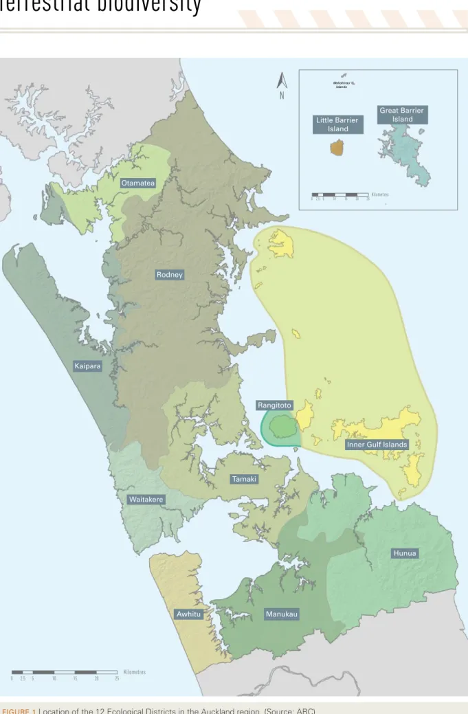 Figure 1  Location of the 12 Ecological Districts in the Auckland region. (Source: ARC).