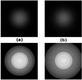 Figure 3: Beta D. with different exponent values.