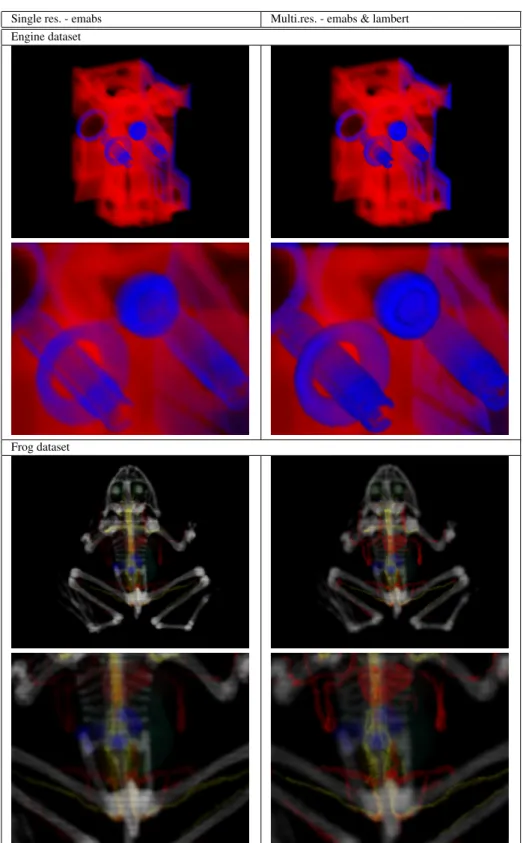 Table 1 - Two real datasets rendered using the Feature Graph, the Beta footprint and the αComposition