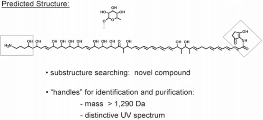 Fig. 6. Computer-generated prediction of the structure of the compound encoded by the 023D gene cluster