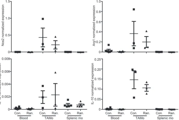 Figure 4: Ranitidine treatment does not alter mediator expression in monocytic MDSCs.  qPCR on whole blood leukocytes  and isolated CD11b + Ly6C + CD49d +  monocytic MDSCs from E0771 tumors (tumor-associated monocytes [TAMo]) and spleens (splenic  mo) from