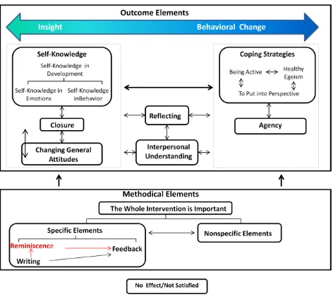 Figure 1. Theoretical Model for the Interrelation between Elements of Both Interventions 