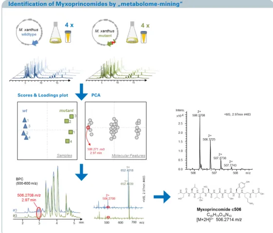 Figure 4: Statistical treatment  of extracts derived from  wildtype and mutant strains  of Myxococcus xanthus