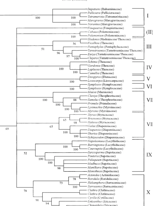 Fig. 2. Parsimony jackknife tree based on analysis of a combination of the plastid genes atpB, ndhF, and rbcL