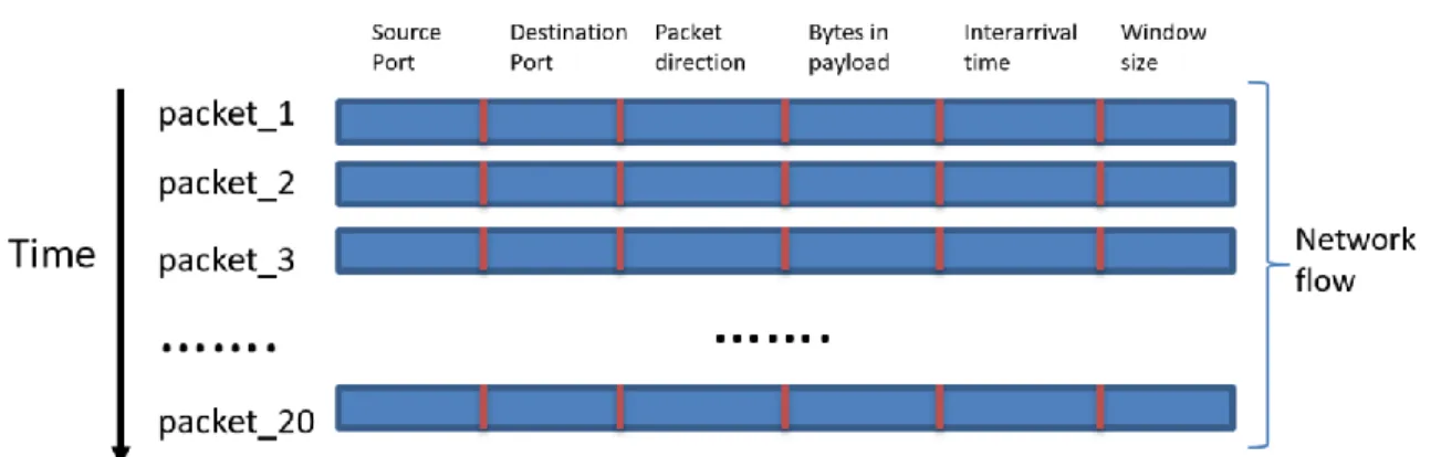 Fig. 2 presents the final arrangement of a network flow inside the dataset. 