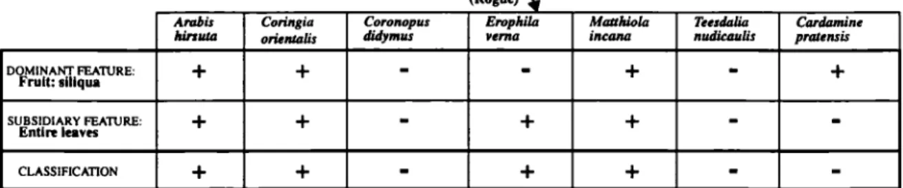 Figure I:  Examples and counterexamples of  category "flowers with entire  leaves"  in  our psychological study.