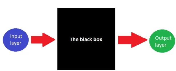Figure 2.2: A neural network with input layer, output layer and black box between them.