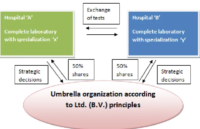 Figure 2.4: A schematic illustration of hybrid (outsourcing & integration) laboratory organization in a hospital organization in which complete laboratories within the hospitals remain with specializations on certain laboratory disciplines