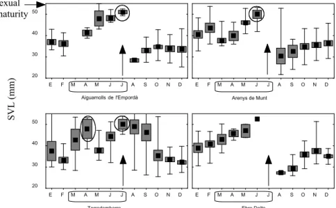 Fig. 2. Variation of the life history of the lacertid Psammodromus algirus between four coastal popula- popula-tions in NE Iberian (from north to south) studied during the same period
