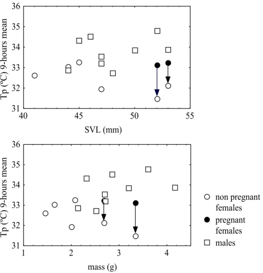Fig. 2. Relationships between Tp and body size. Arrows indicate changes after egg-laying.