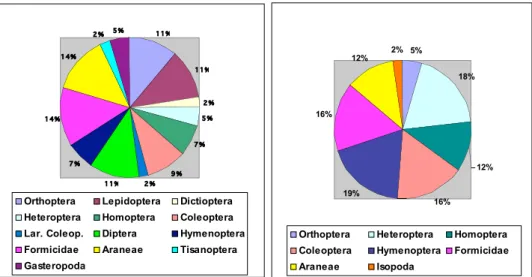 Fig. 4. Prey types consumed by P. sicula.  Fig. 5. Prey types consumed by P. muralis.
