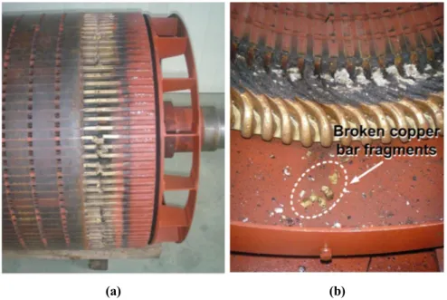 Fig. 1. 5 Example of 3.3 kV, 800kW double cage induction motor failure due to  outer cage damage: (a) outer bar damage, (b) stator end-winding insulation 
