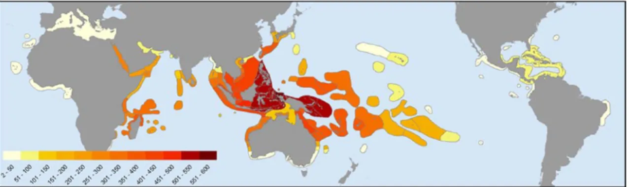 Fig. 4 Ecoregions and species richness of zooxanthellate corals of the CT (determined by the spatial database Coral  Geographic, see text)