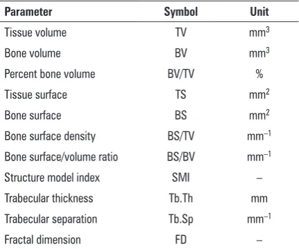 Figure 1. A schema of the construction and work principle of the micro-computed tomography system.