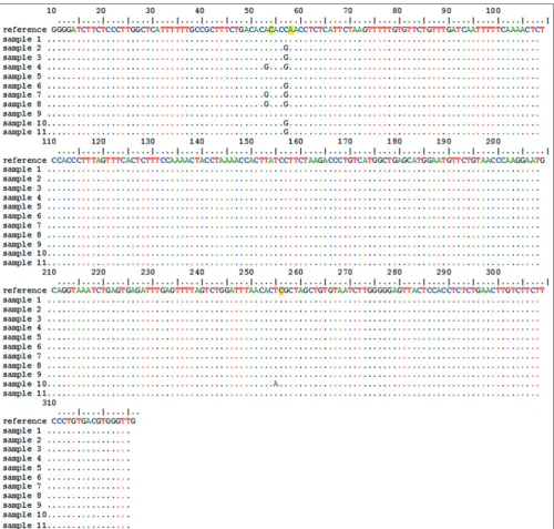 Table  3  refers  to  the  present  significant  differences  (p≤0.05)  in the serum levels of urea, creatinine, and calcium among PCR-SSCP 