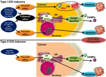 Fig. 1. The activity of Type I and Type II im-munogenic cell death (ICD) inducers. Type I ICD inducers are modalities that induce cell death via non-ER associated targets and dan-ger signalling via ER stress; however this split in targeting might compromis