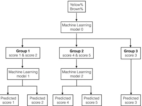 Figure 8.  Flowchart of the hierarchical classifier that was built to map the extracted features (Yellow %,  Brown %) to the IDC score