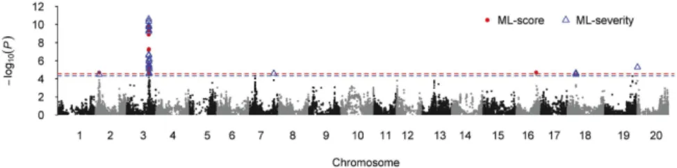 Figure 1.  Manhattan plots of genome-wide association analysis with machine learning IDC score (ML- (ML-score) and severity (ML-severity) in soybean