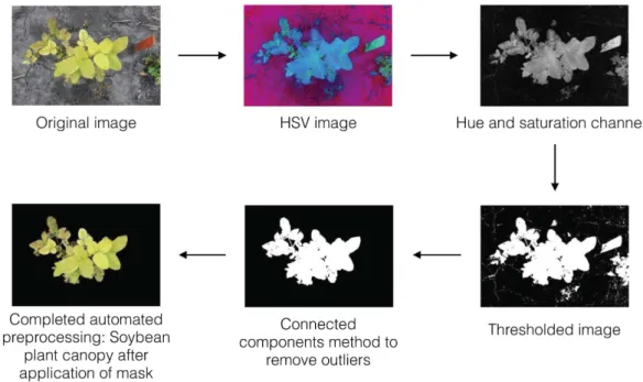 Figure 6.  Field visual rating examples of soybean canopies with iron deficiency chlorosis scores from 1 to 5