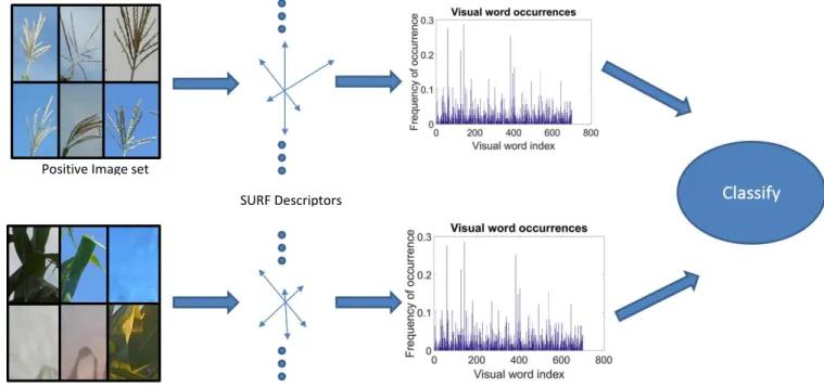 Figure 3 Bag-of-Features workflow: Feature detection, clustering and classification 