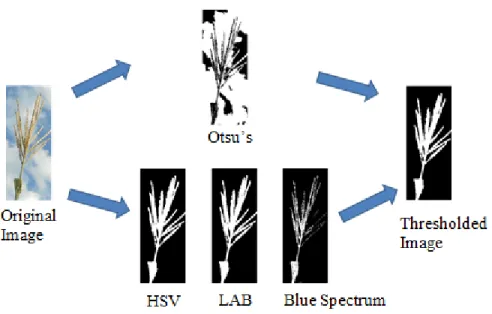 Figure 5 Consensus based thresholding  Consensus based thresholding 