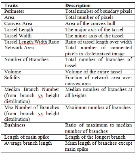 Table 1 List of traits extracted 