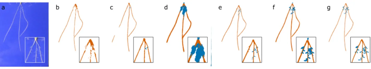 Figure 5: Example image output from each trained network architecture. (a) An example hydroponic wheat image