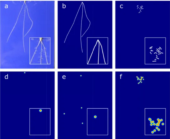 Figure 9: Sample training image and ground truth, zoomed sections and colour added for clarity